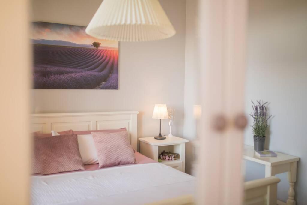 Dalma Residence Apartman Lavandella 扎博里克 外观 照片